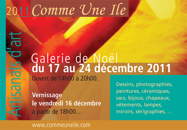 Carton expo noel2011